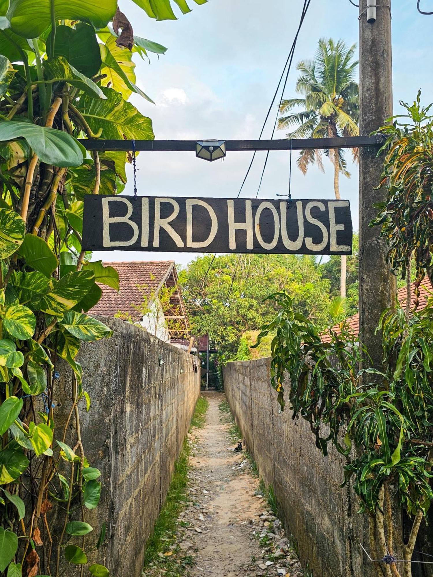 Bird House Mirissa Hotel Kültér fotó
